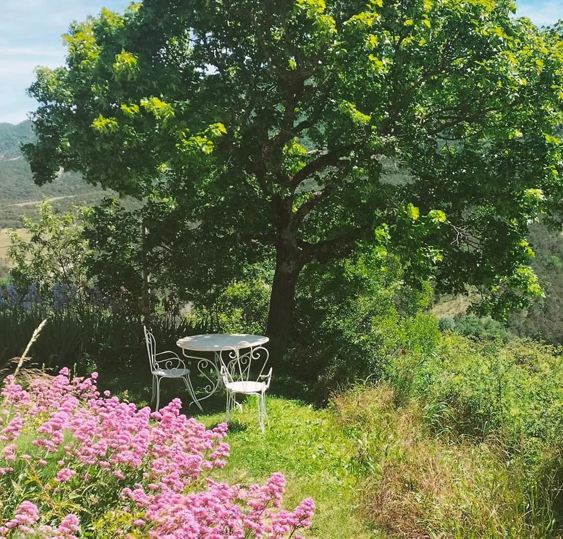 La Ferme De La Condamine Bed & Breakfast Saint-Andre-de-Rosans